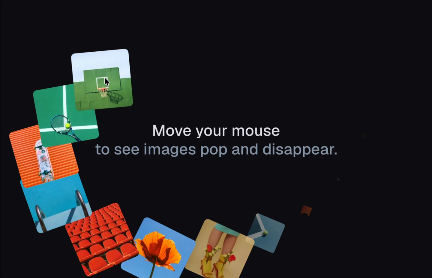 Image Trail preview